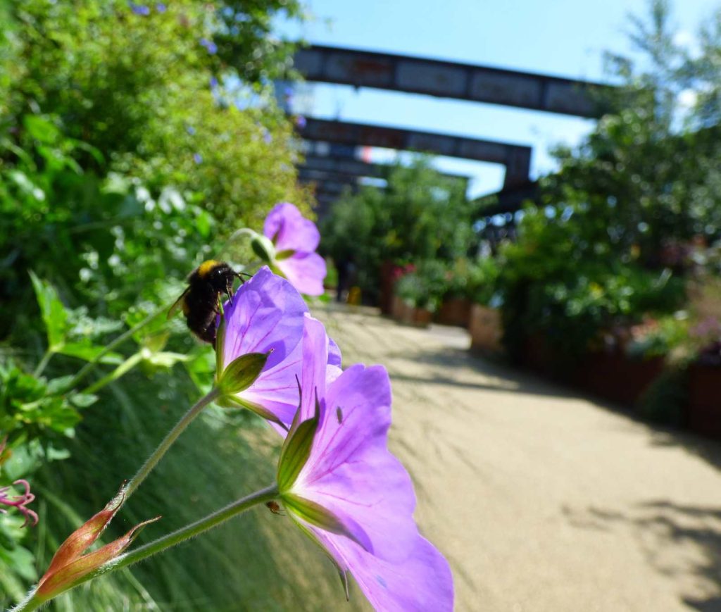 Castlefield Viaduct